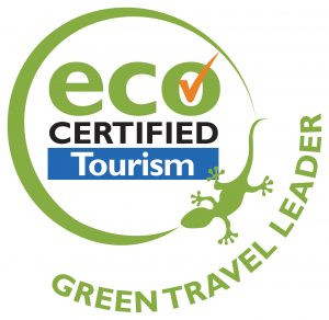 Green Travel Leader logo 300x292