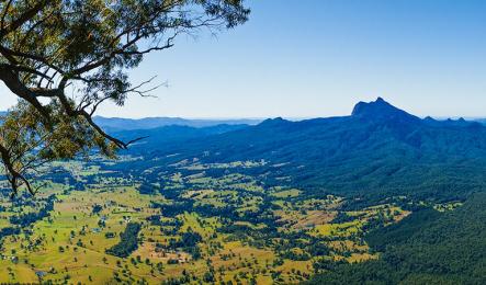 Wollumbin (Mt Warning) view from the Blackbutt Lookout.