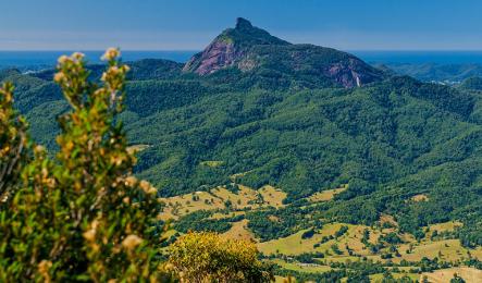 Wollumbin (Mt Warning) view from Pinnacle Lookout.