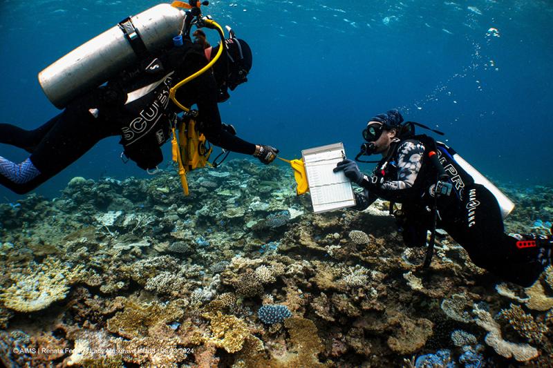 Coral Bleaching | South GBR | March 2024