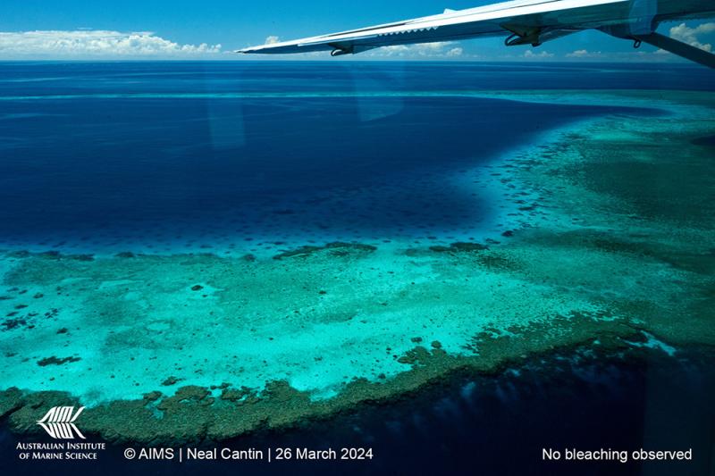  Coral Bleaching 2024 | Aerial Surveys