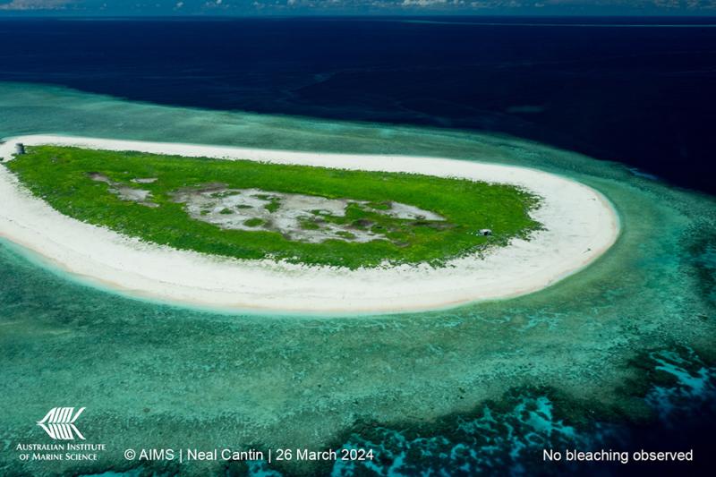 No bleaching observed. Coral Bleaching 2024 | Aerial Surveys.