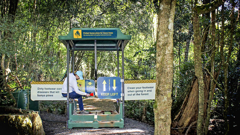 Track walkers' boot cleaning station.