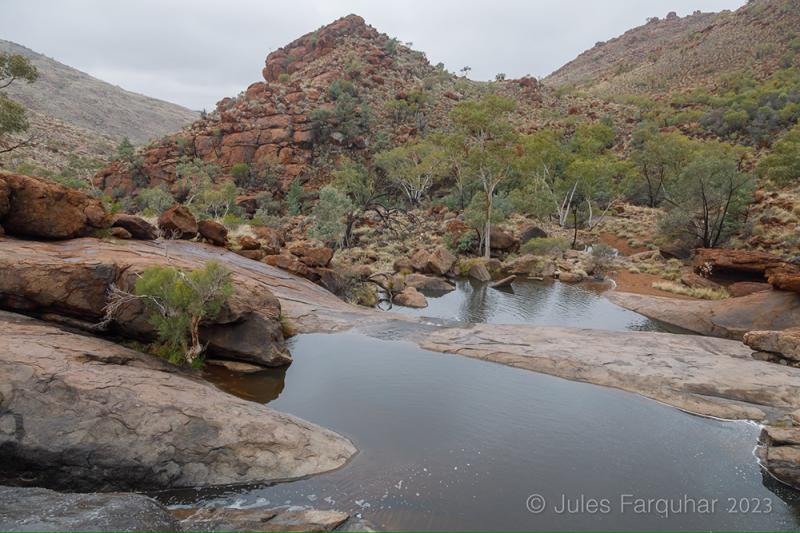 Alalkanya Gorge, APY Lands, South Australia.