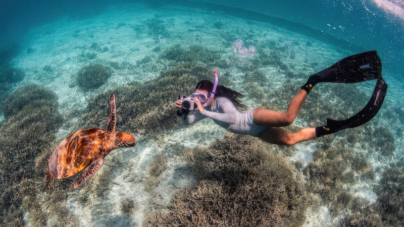Green Heroes' Ocean ID project allows recreational divers and snorkellers to aid turtle conservation. (Instagram: @theundertowmedia)