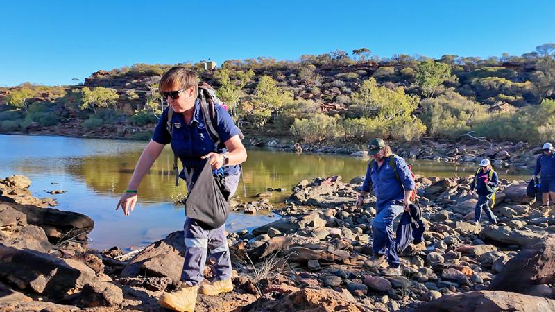 Carrying the Kalbarri rock-wallabies into the gorge. Photo: © Alex Gore, DBCA Media.