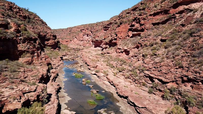Kalbarri gorge at Kalbarri National Park. Photo: © Alex Gore, DBCA Media.
